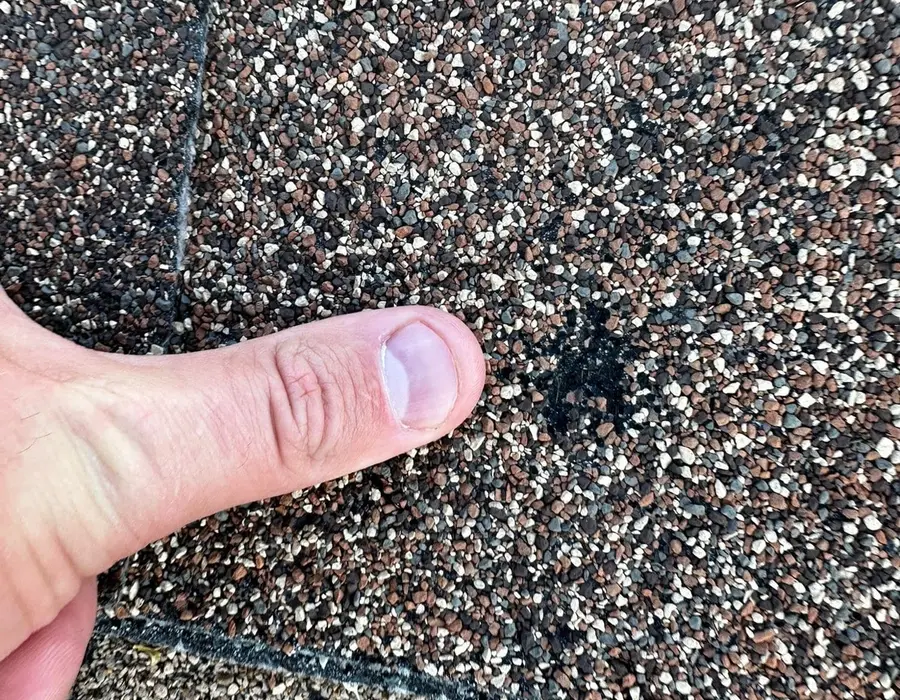 Thumb on a hail bruise in an asphalt shingle, granules knocked loose