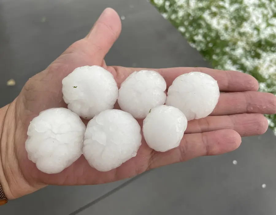 Golf-ball-size hailstones in a hand after a storm
