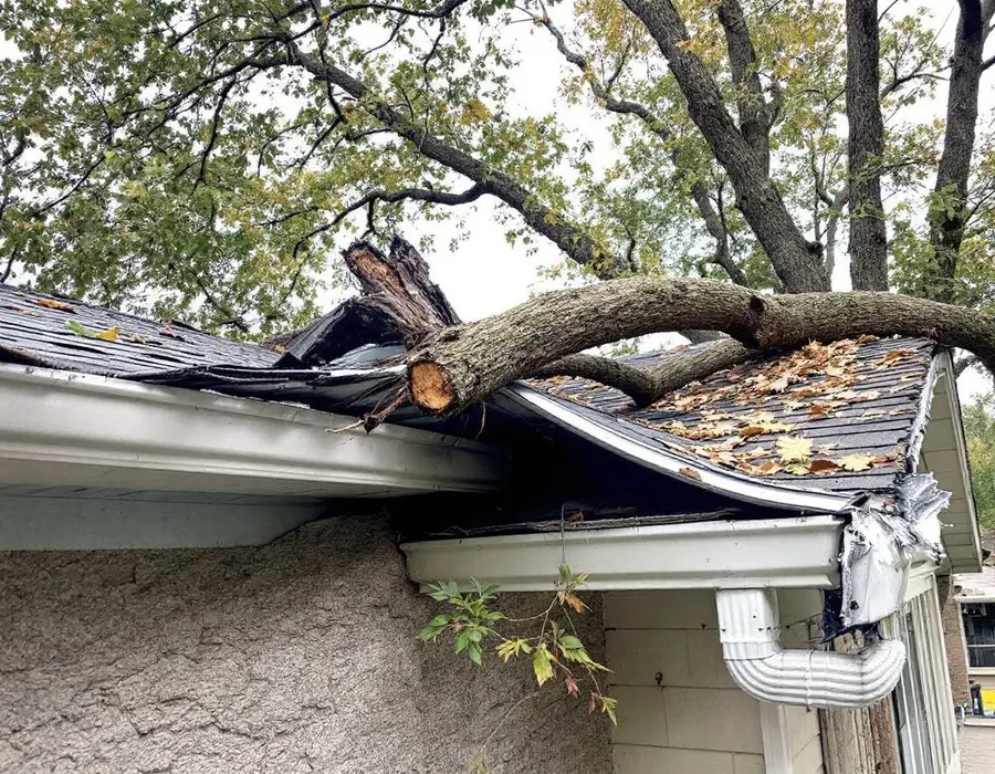 Broken tree limb across the eave with the gutter crushed beneath it