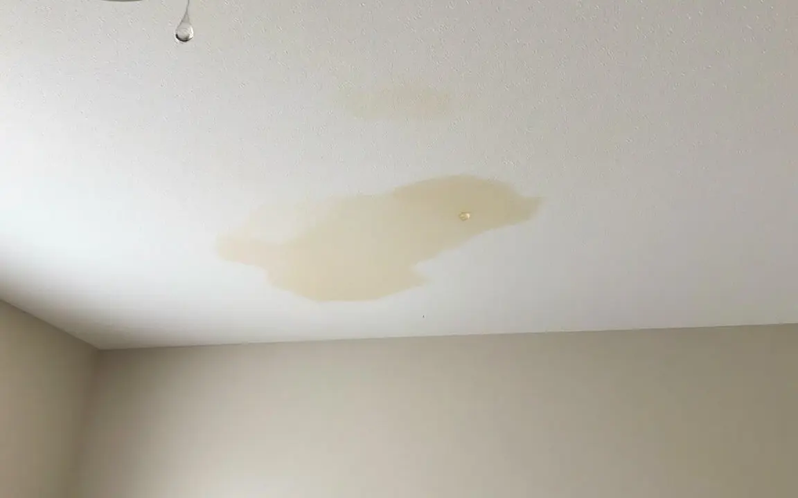Faint water stain and a hanging drip on a bedroom ceiling