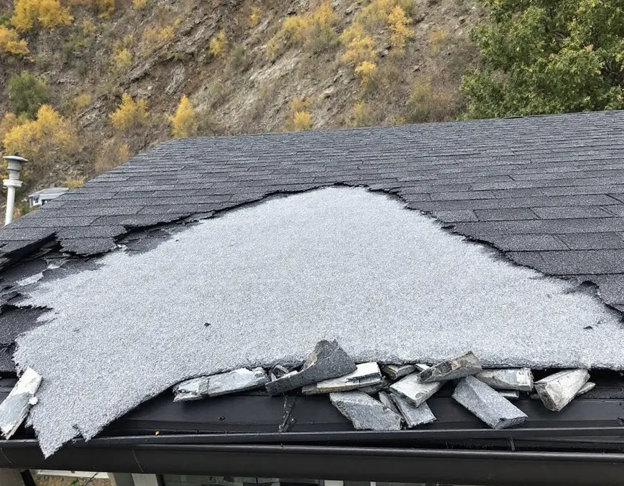 Shingles torn away by canyon wind on an east slope, the Wasatch face behind