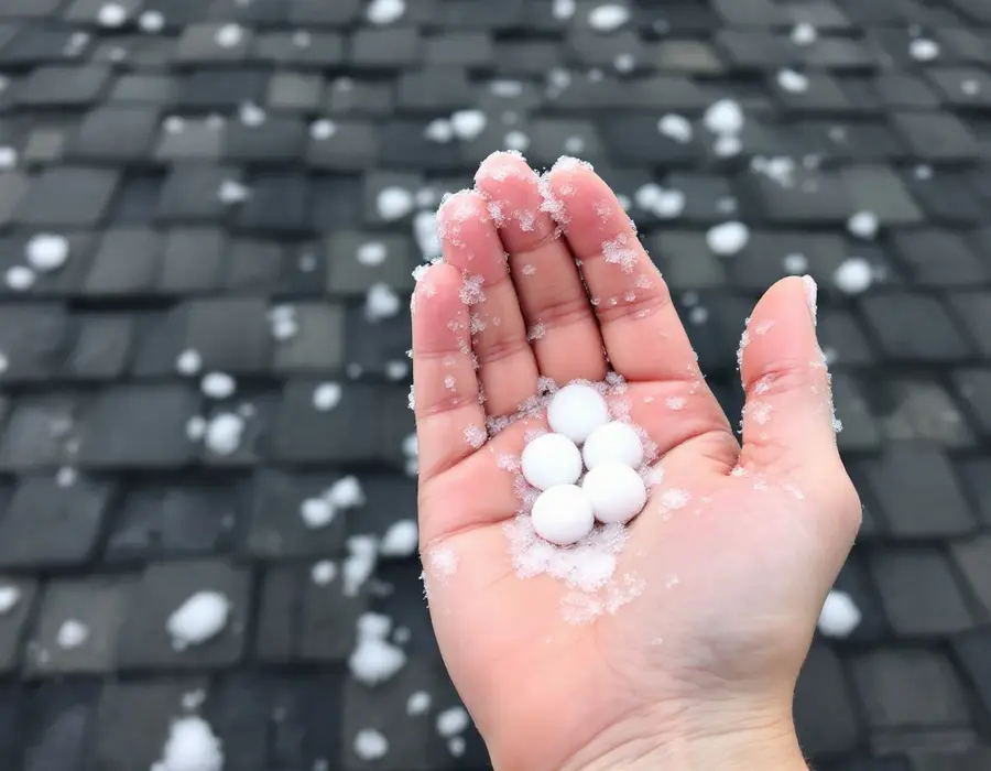 Hailstones in an open hand over a shingle roof after a storm