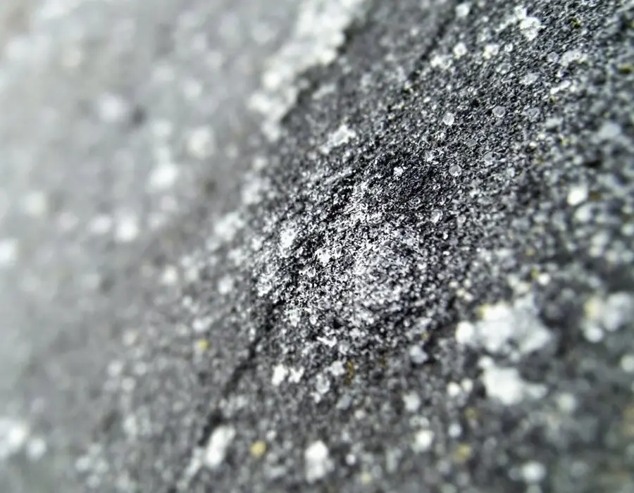 Close-up of a hail bruise on a wet asphalt shingle, granules knocked away to the mat